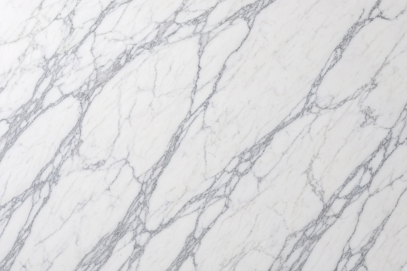 Calacatta Grey